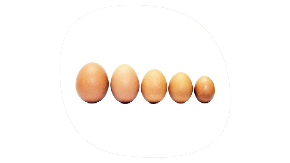 Сколько категорий куриных яиц существует?